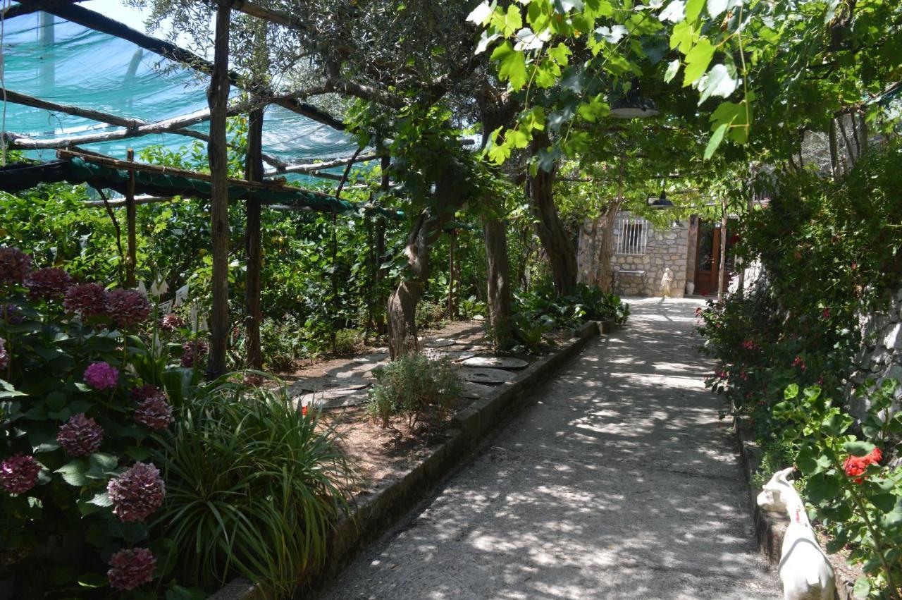 La Petra Villa วีโกเอเกวนเซ ภายนอก รูปภาพ