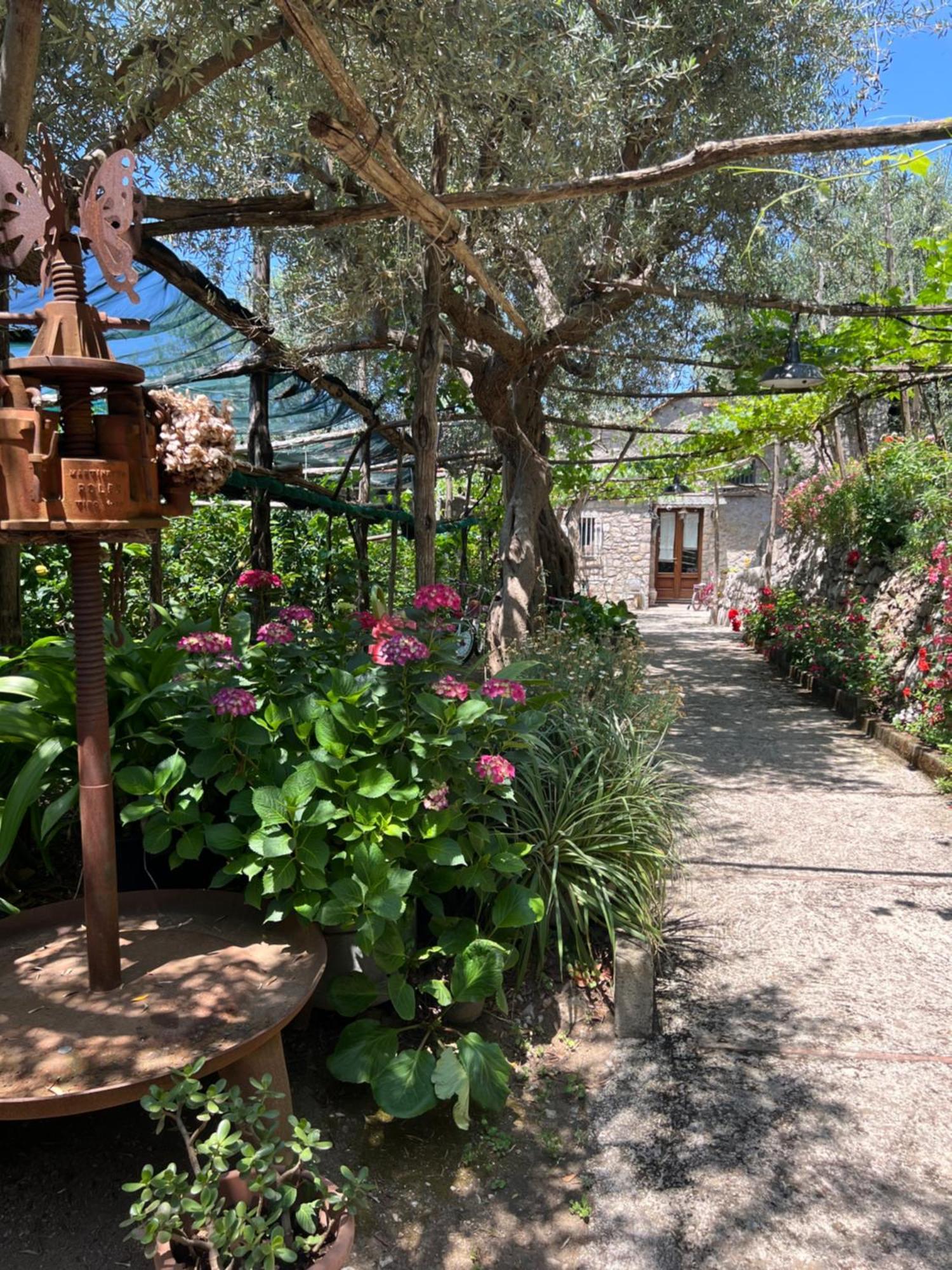 La Petra Villa วีโกเอเกวนเซ ภายนอก รูปภาพ
