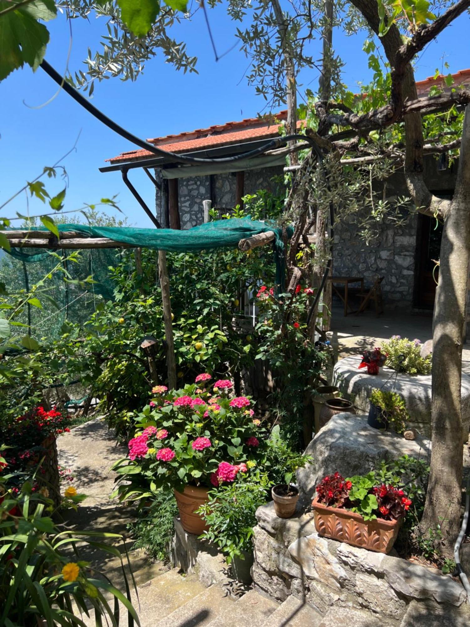 La Petra Villa วีโกเอเกวนเซ ภายนอก รูปภาพ